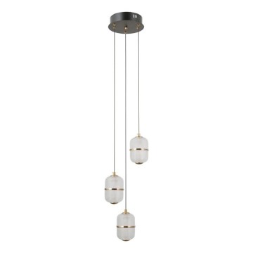 ITALUX - Lustre LED suspenso por cabo ALANI 3xLED/5W/230V 3000K preto/dourado