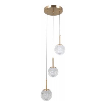 ITALUX - Lustre suspenso PADRI em cabo 3xG9/5W/230V dourado