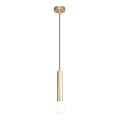 ITALUX - Lustre suspenso por cabo FILANO 1xG9/5W/230V dourado