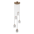 ITALUX - Lustre suspenso por cabo TORNO 5xE14/40W/230V dourado