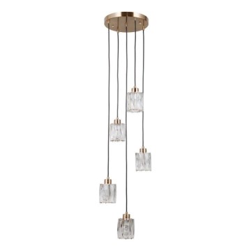 ITALUX - Lustre suspenso por cabo TORNO 5xE14/40W/230V dourado