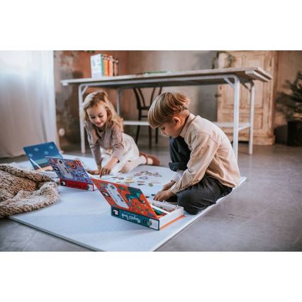 Janod - Conjunto interativo magnético MAGNETIBOOK animais