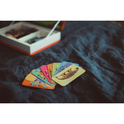 Janod - Conjunto interativo magnético MAGNETIBOOK dinossauros