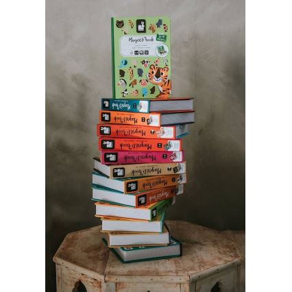 Janod - Conjunto interativo magnético MAGNETIBOOK veículos de transporte