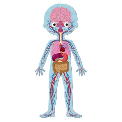 Janod - Quebra-cabeça educativo infantil 225 peças corpo humano