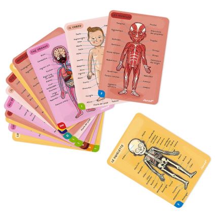 Janod - Quebra-cabeça magnético BODYMAGNET corpo humano