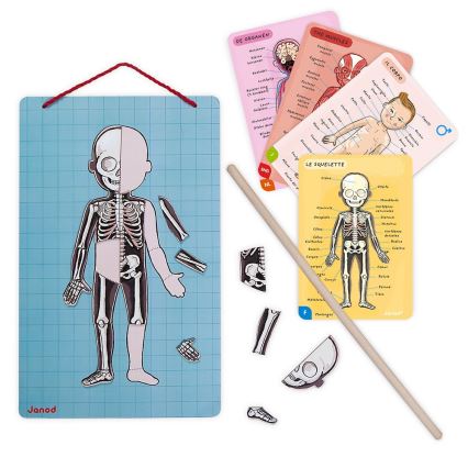Janod - Quebra-cabeça magnético BODYMAGNET corpo humano