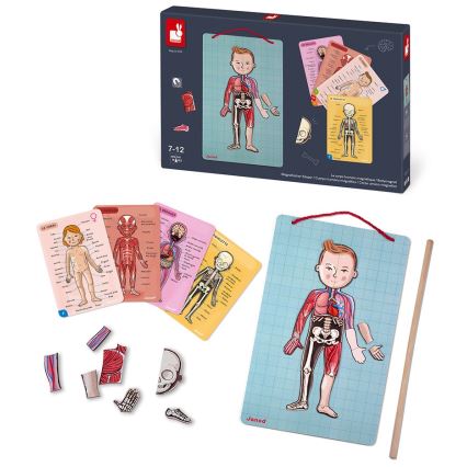 Janod - Quebra-cabeça magnético BODYMAGNET corpo humano