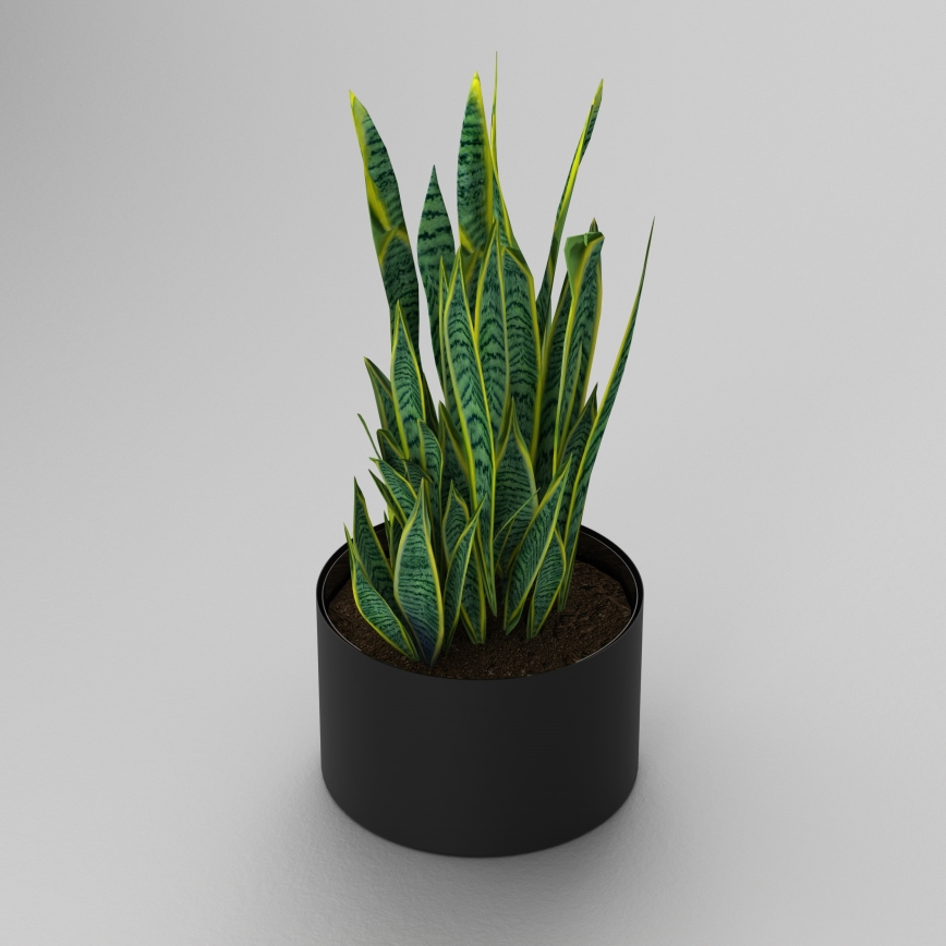 Jarro de flores 11x17 cm preto