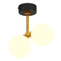 Jupiter 1918 - Candelabro suspenso LUNA 2xG9/40W/230V latão/preto