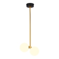 Jupiter 1919 - Candelabro suspenso LUNA 2xG9/40W/230V latão/preto
