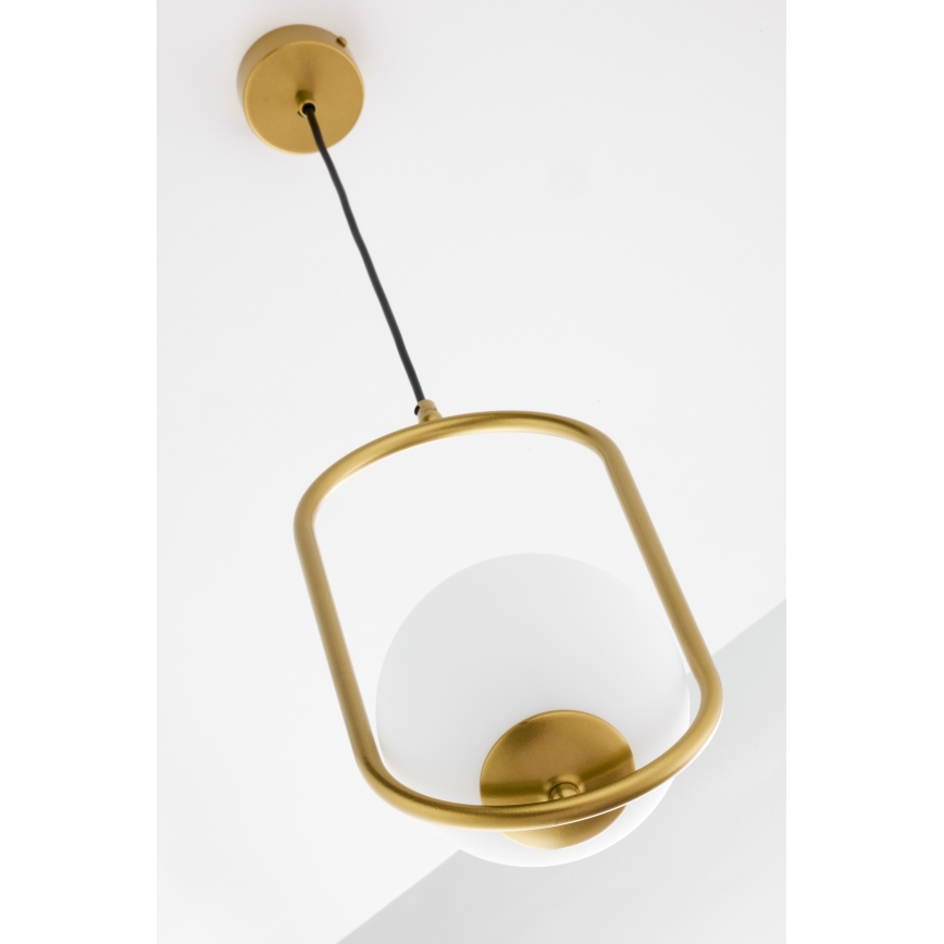 Jupiter 2042 - Candeeiro suspenso IGON 1xE14/40W/230V dourado