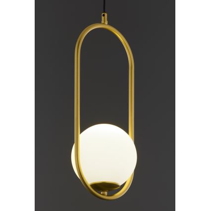 Jupiter 2042 - Candeeiro suspenso IGON 1xE14/40W/230V dourado