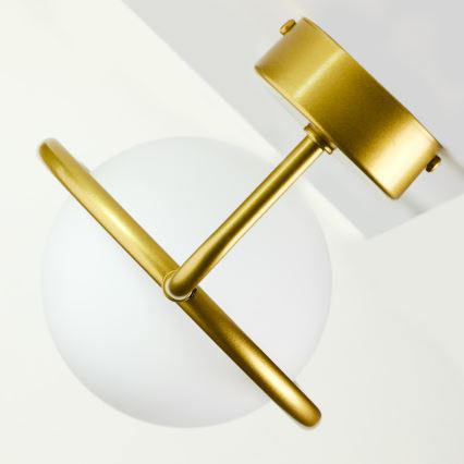 Jupiter 2043 - Candeeiro de parede IGON 1xE14/40W/230V dourado