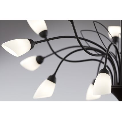 Jupiter 2057 - Lustre suspenso com corrente GLORIOSA 15xG9/14W/230V preto