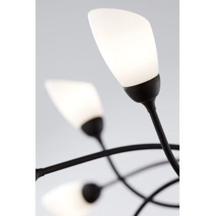 Jupiter 2057 - Lustre suspenso com corrente GLORIOSA 15xG9/14W/230V preto