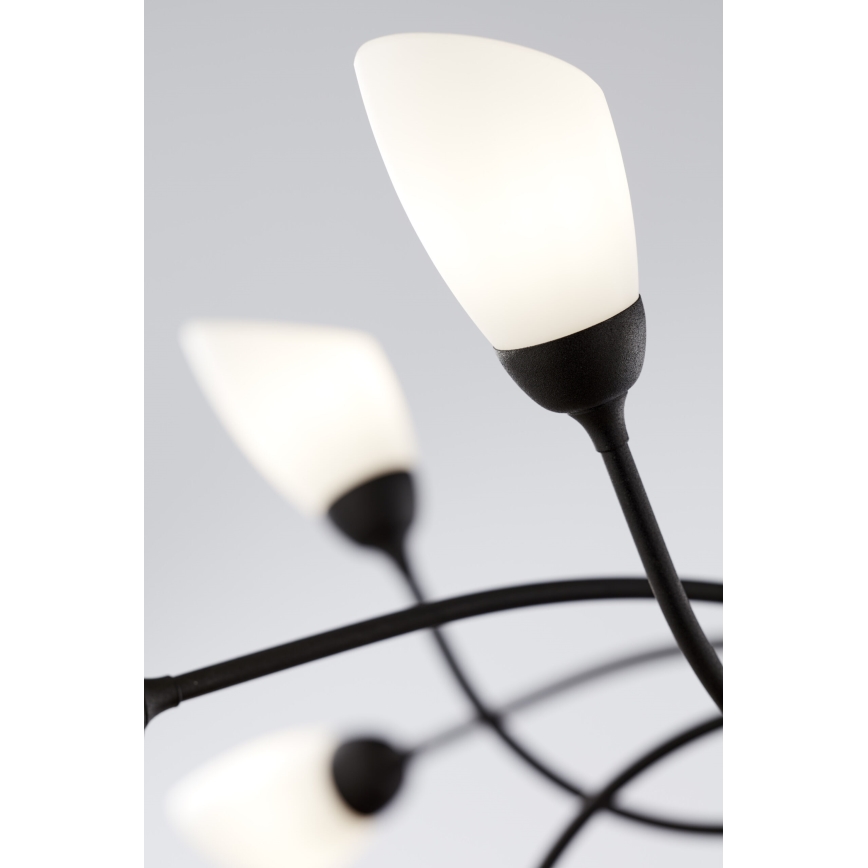 Jupiter 2057 - Lustre suspenso com corrente GLORIOSA 15xG9/14W/230V preto
