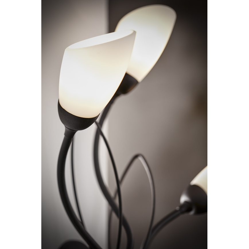 Jupiter 2059 - Candeeiro de parede GLORIOSA 3xG9/14W/230V preto