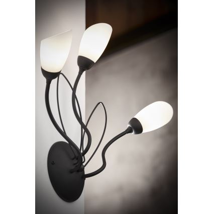 Jupiter 2059 - Candeeiro de parede GLORIOSA 3xG9/14W/230V preto
