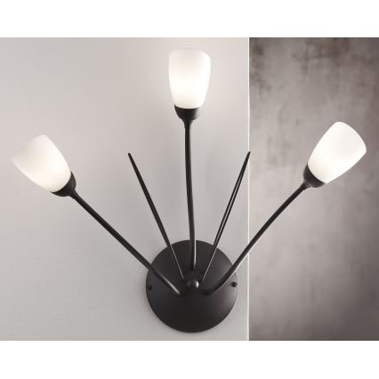 Jupiter 2059 - Candeeiro de parede GLORIOSA 3xG9/14W/230V preto