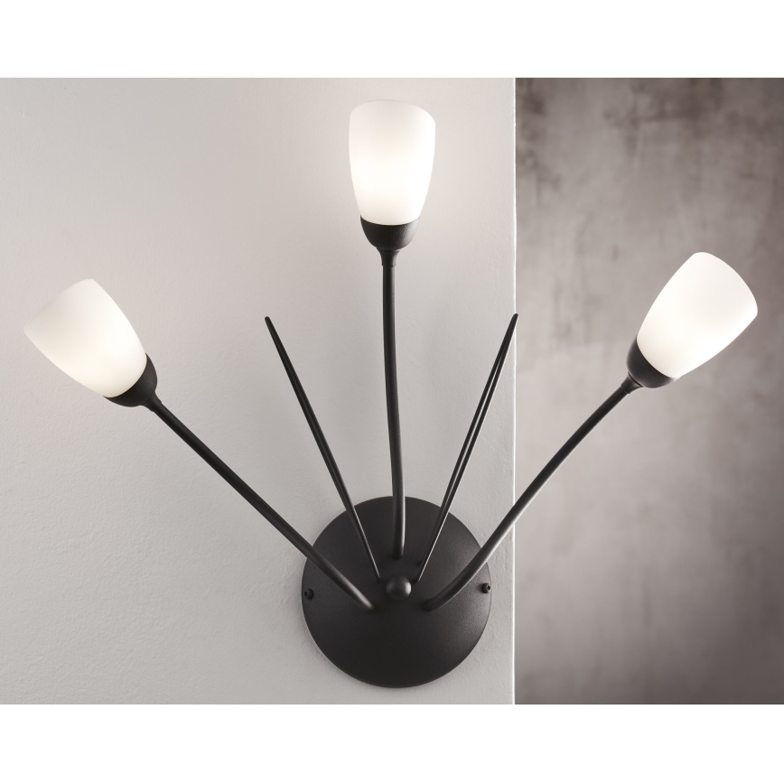 Jupiter 2059 - Candeeiro de parede GLORIOSA 3xG9/14W/230V preto
