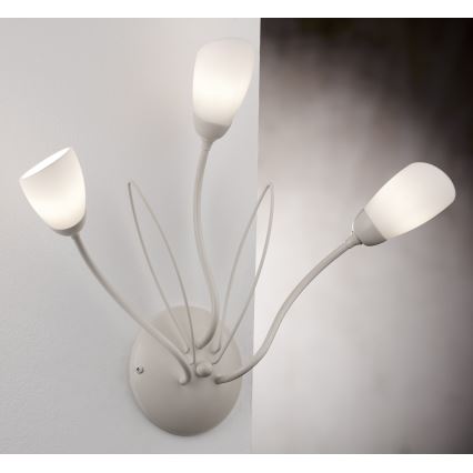 Jupiter 2064 - Aplique de parede GLORIOSA 3xG9/14W/230V creme