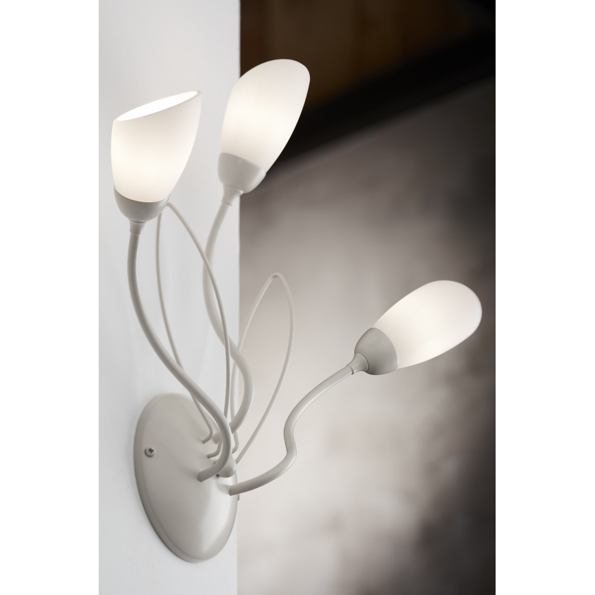 Jupiter 2064 - Aplique de parede GLORIOSA 3xG9/14W/230V creme