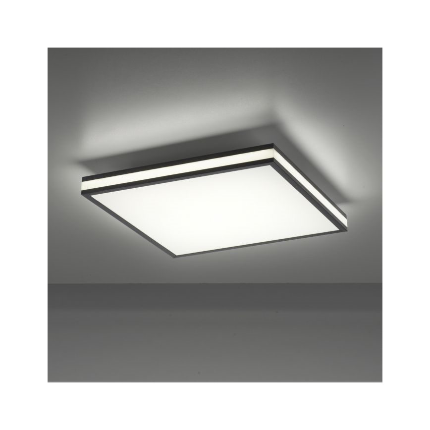 JUST LIGHT. 14110-18 - Iluminação de teto LED RGBW com regulação MARIO BLACK LED/19,5W/230V 2700-5000K + comando