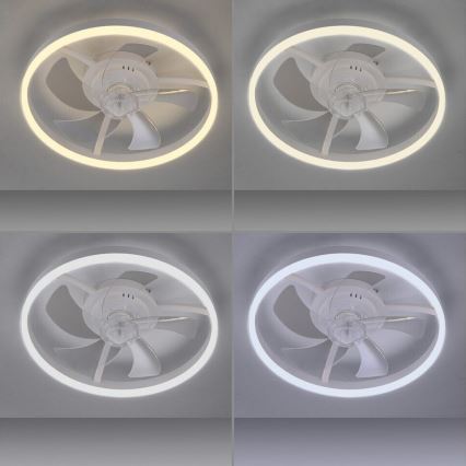 JUST LIGHT. 14624-16 - Ventilador de teto com luz LED dimerizável RITA LED/22W/230V 3000-6000K Ø 50 cm branco + comando remoto