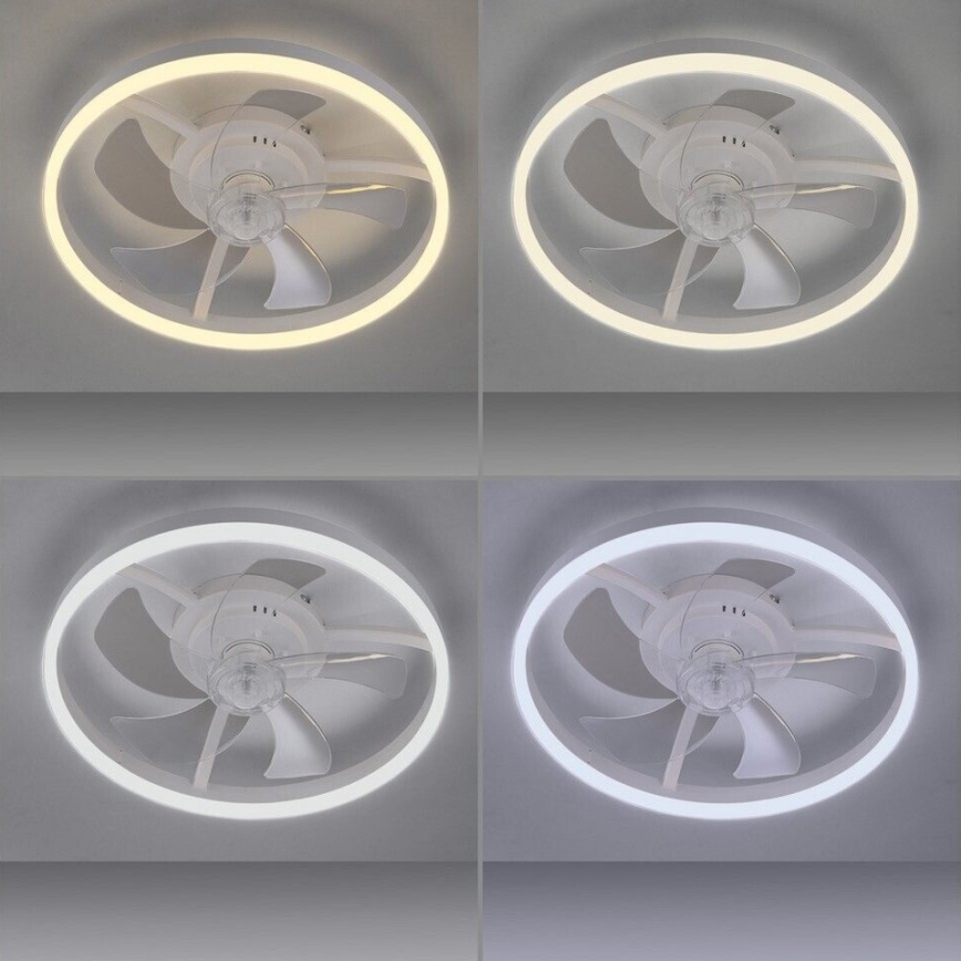 JUST LIGHT. 14624-16 - Ventilador de teto com luz LED dimerizável RITA LED/22W/230V 3000-6000K Ø 50 cm branco + comando remoto