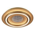 JUST LIGHT. 15089-60 - Candeeiro de tecto LED CICHIO LED/36W/230V diâm. 40 cm dourado