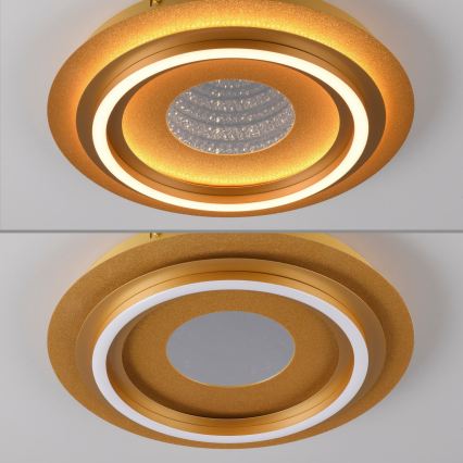 JUST LIGHT. 15089-60 - Candeeiro de tecto LED CICHIO LED/36W/230V diâm. 40 cm dourado
