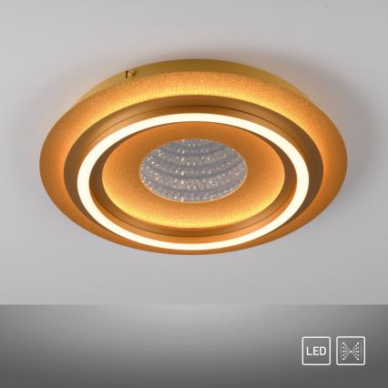 JUST LIGHT. 15089-60 - Candeeiro de tecto LED CICHIO LED/36W/230V diâm. 40 cm dourado