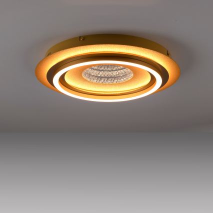 JUST LIGHT. 15089-60 - Candeeiro de tecto LED CICHIO LED/36W/230V diâm. 40 cm dourado