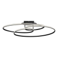 JUST LIGHT. 15321-18 - Iluminação de teto LED LUMACA LED/33W/230V preto