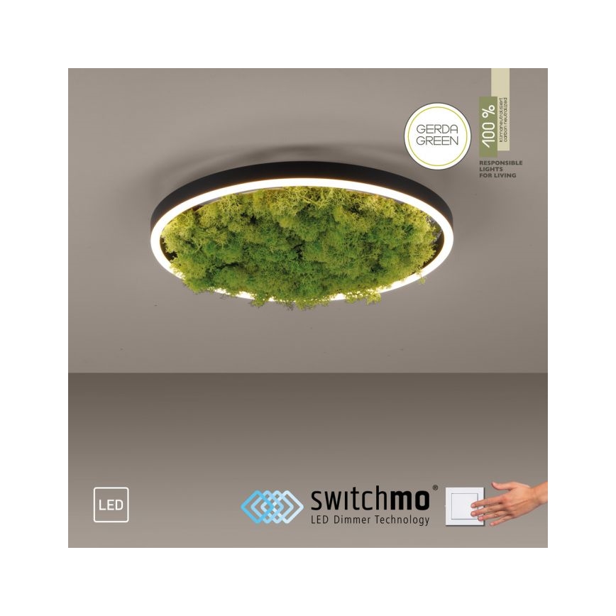 JUST LIGHT. 15391-66 - Iluminação de teto LED com regulação VERDE RITU LED/20W/230V