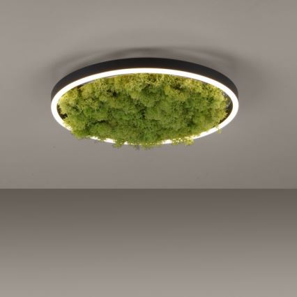 JUST LIGHT. 15391-66 - Iluminação de teto LED com regulação VERDE RITU LED/20W/230V
