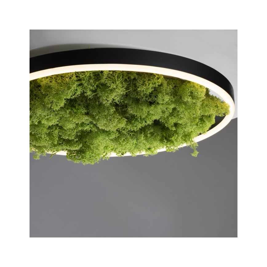 JUST LIGHT. 15391-66 - Iluminação de teto LED com regulação VERDE RITU LED/20W/230V