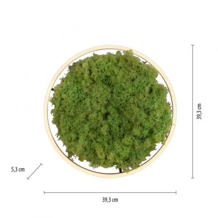 JUST LIGHT. 15391-66 - Iluminação de teto LED com regulação VERDE RITU LED/20W/230V