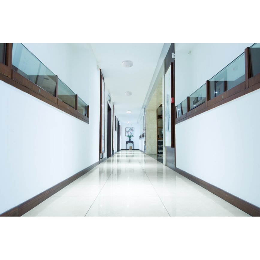 Candeeiro de tecto LED com sensor de movimento e sensor crepuscular FOGLER LED/17W/230V Ø 33 cm