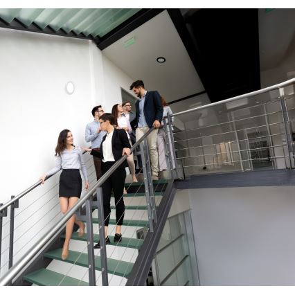 Luminária de teto/painel LED com sensor de movimento 2 em 1 ERGA LED/17W/230V 3000/4000/6500K preta