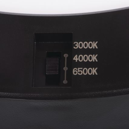 Luminária de teto/painel LED com sensor de movimento 2 em 1 ERGA LED/17W/230V 3000/4000/6500K preta