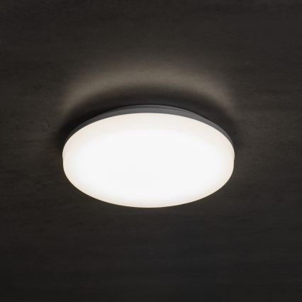 Plafon LED VARSO com sensor de movimento e sensor de crepúsculo LED/22/30W/230V 3000/4000/6500K Ø 33 cm IP54
