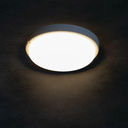 Iluminação de teto para casa de banho LED TOLU LED/9W/230V 4000K IP54 branco