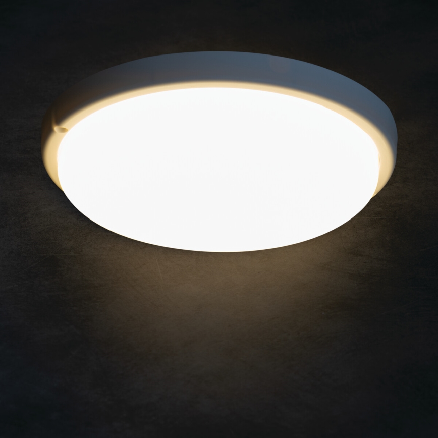Iluminação de teto para casa de banho LED TOLU LED/18W/230V 4000K IP54 branco