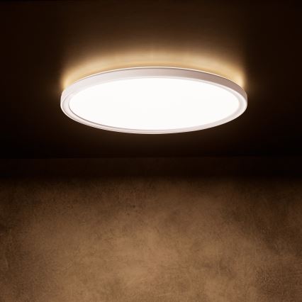 Candeeiro de tecto LED AZPO LED/11,8W/230V 3000/4000/6000K Ø 22,5 cm IP54 branco
