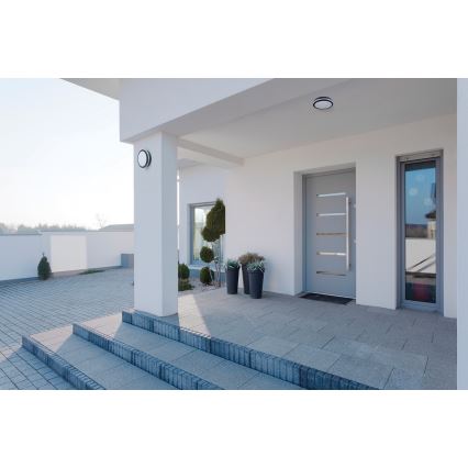 Iluminação exterior LED com sensor BENO LED/18W/230V 4000K antracite IP54