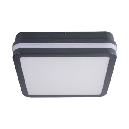Iluminação exterior LED com sensor BENO LED/18W/230V 4000K IP54 antracite