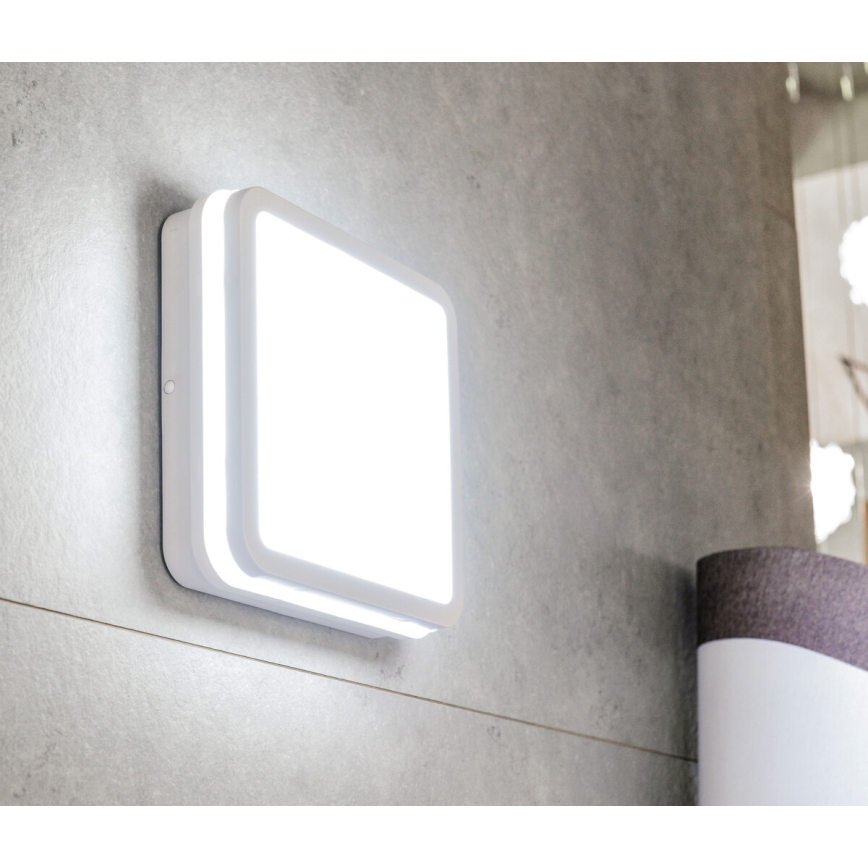 Iluminação exterior LED BENO LED/24W/230V 4000K branco IP54