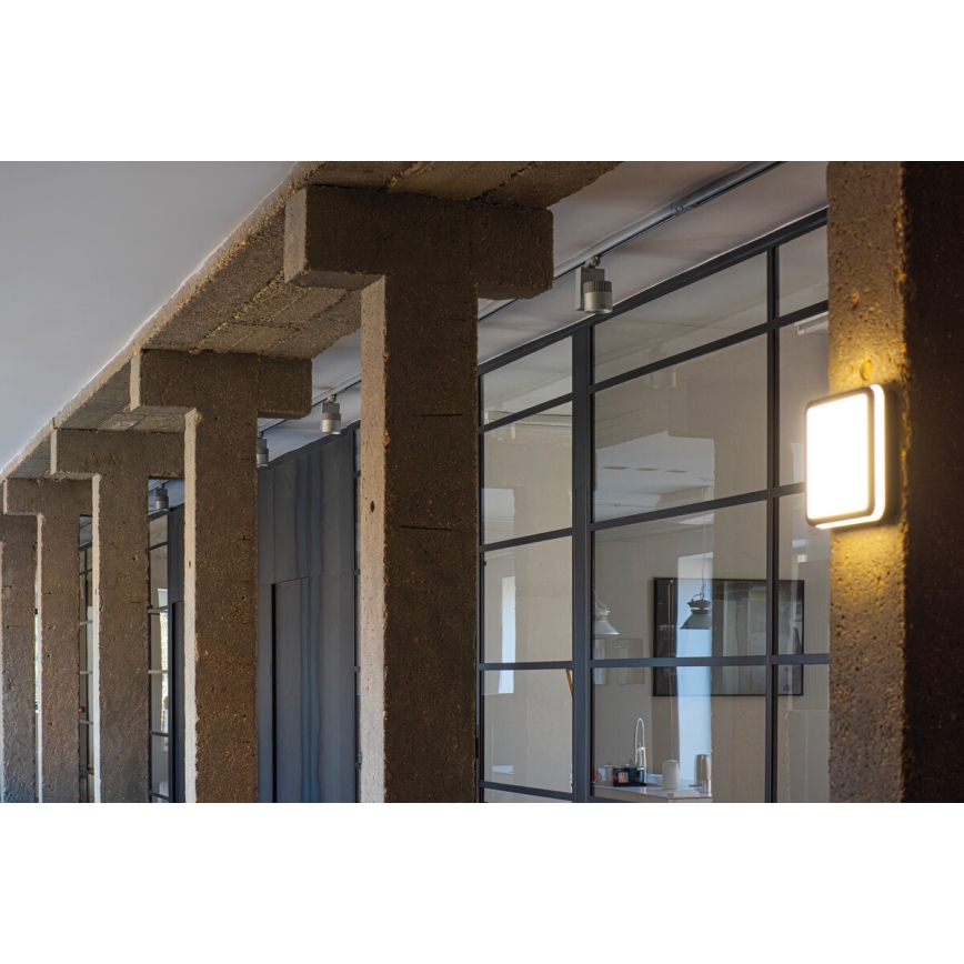 Iluminação exterior LED BENO LED/24W/230V 4000K antracite IP54